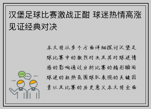 汉堡足球比赛激战正酣 球迷热情高涨见证经典对决