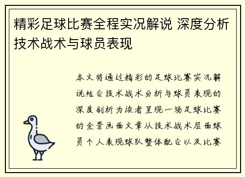 精彩足球比赛全程实况解说 深度分析技术战术与球员表现