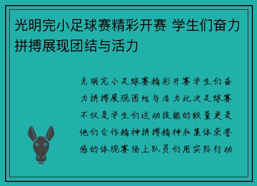 光明完小足球赛精彩开赛 学生们奋力拼搏展现团结与活力