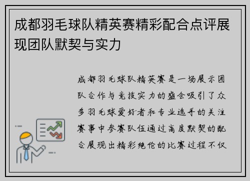 成都羽毛球队精英赛精彩配合点评展现团队默契与实力